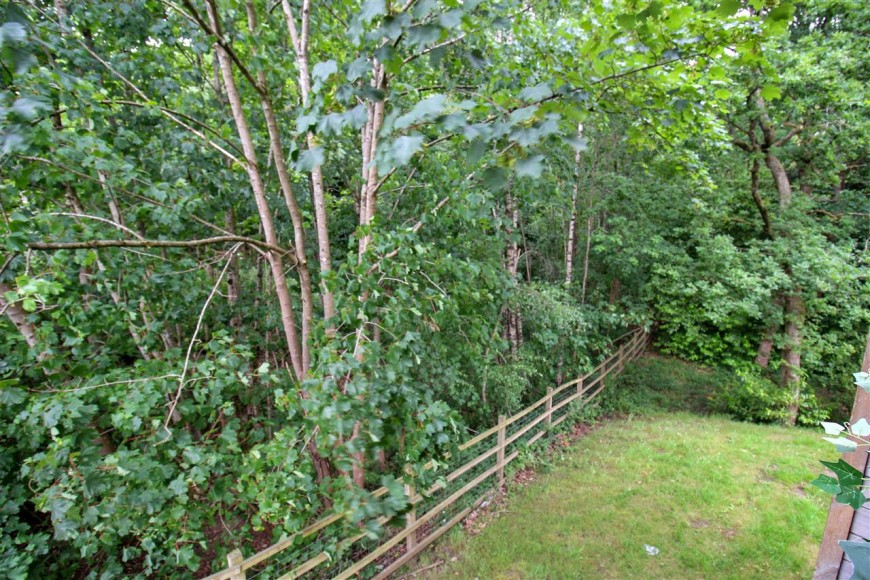 Artillery Drive, Bordon