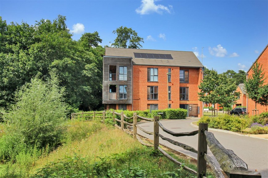 Artillery Drive, Bordon